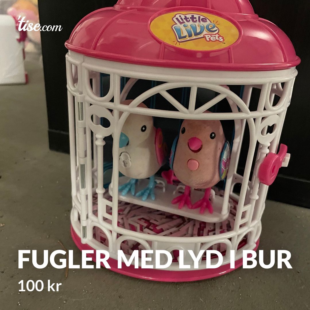 Fugler med lyd i bur