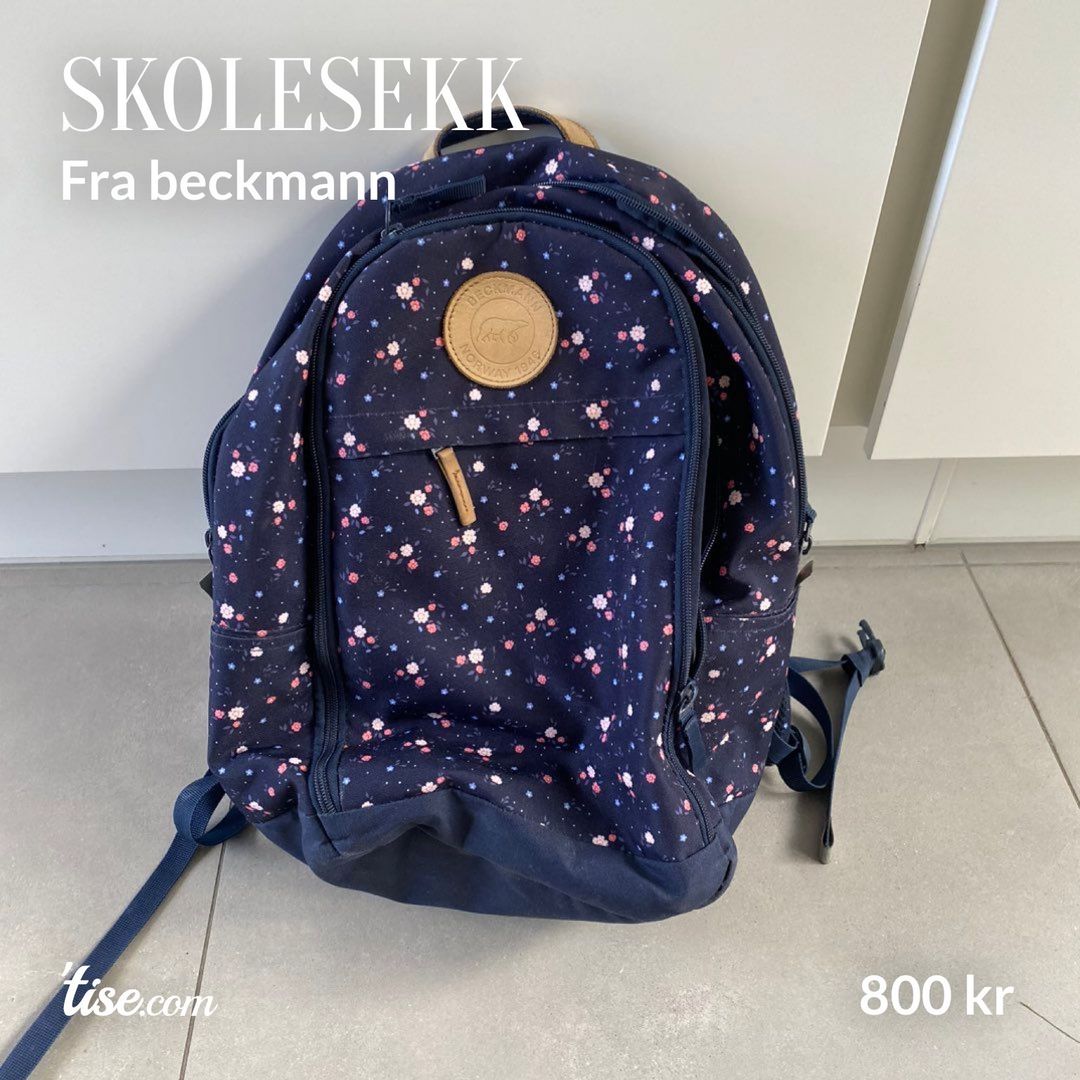 Skolesekk