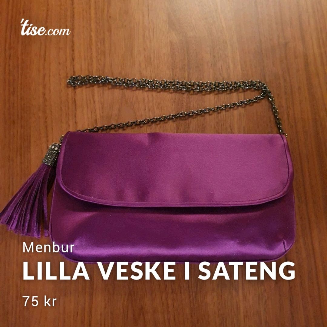 Lilla Veske I Sateng