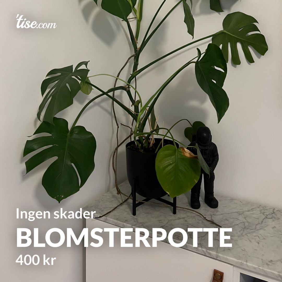 Blomsterpotte