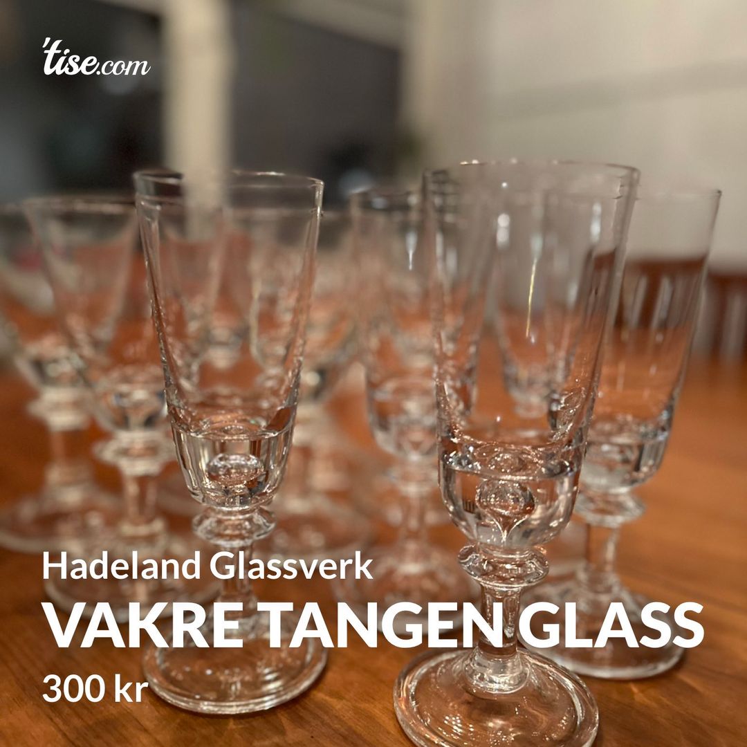 Vakre Tangen glass