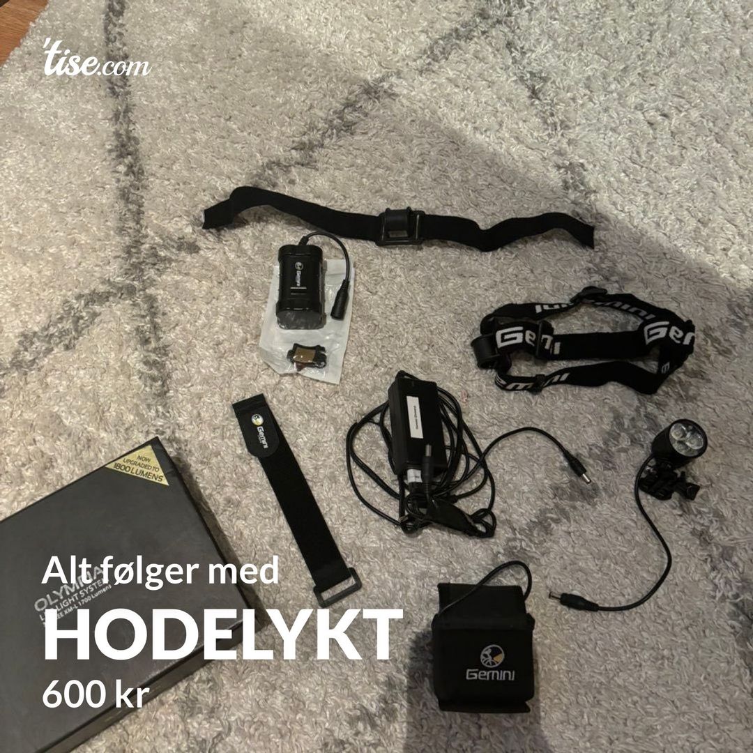 Hodelykt