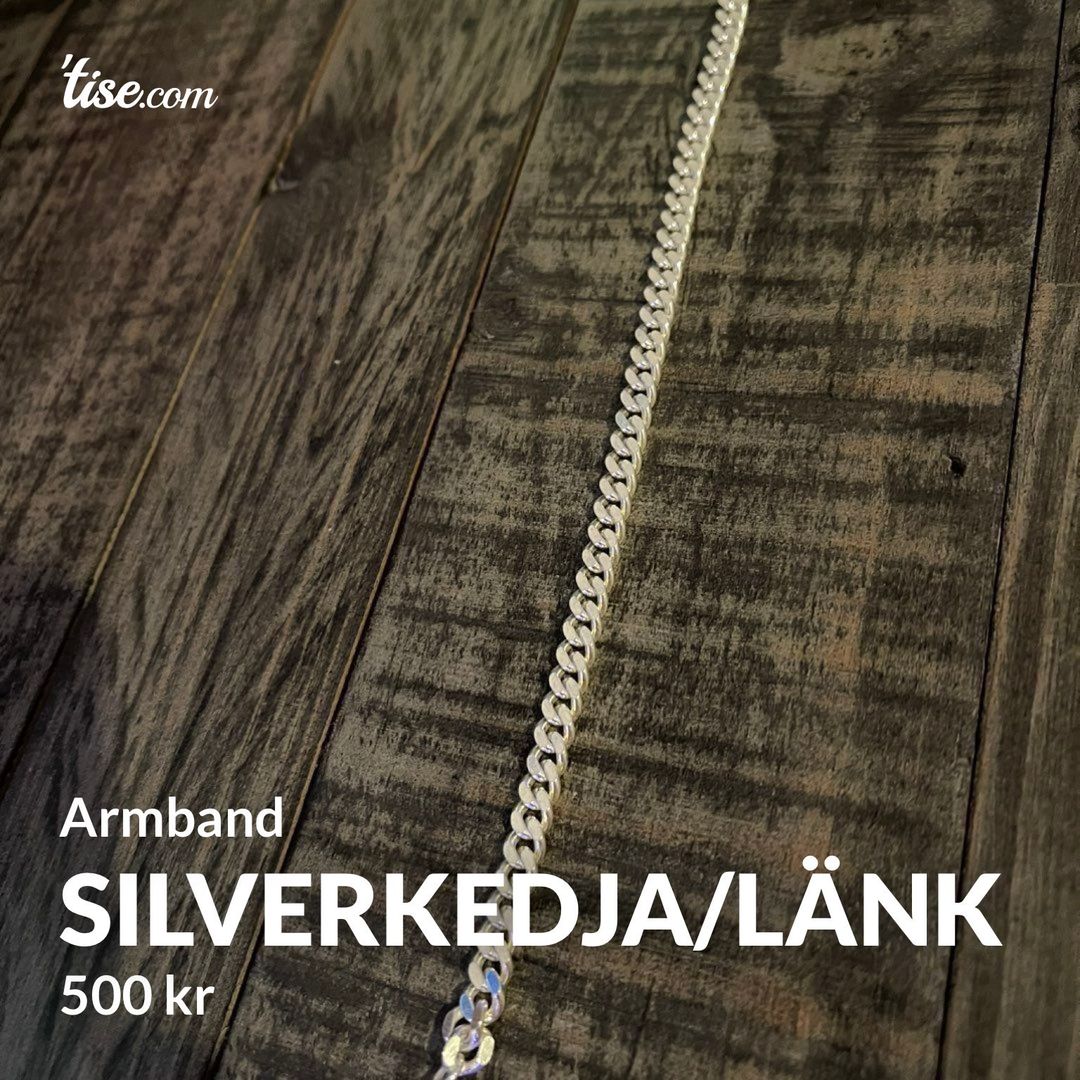 Silverkedja/länk