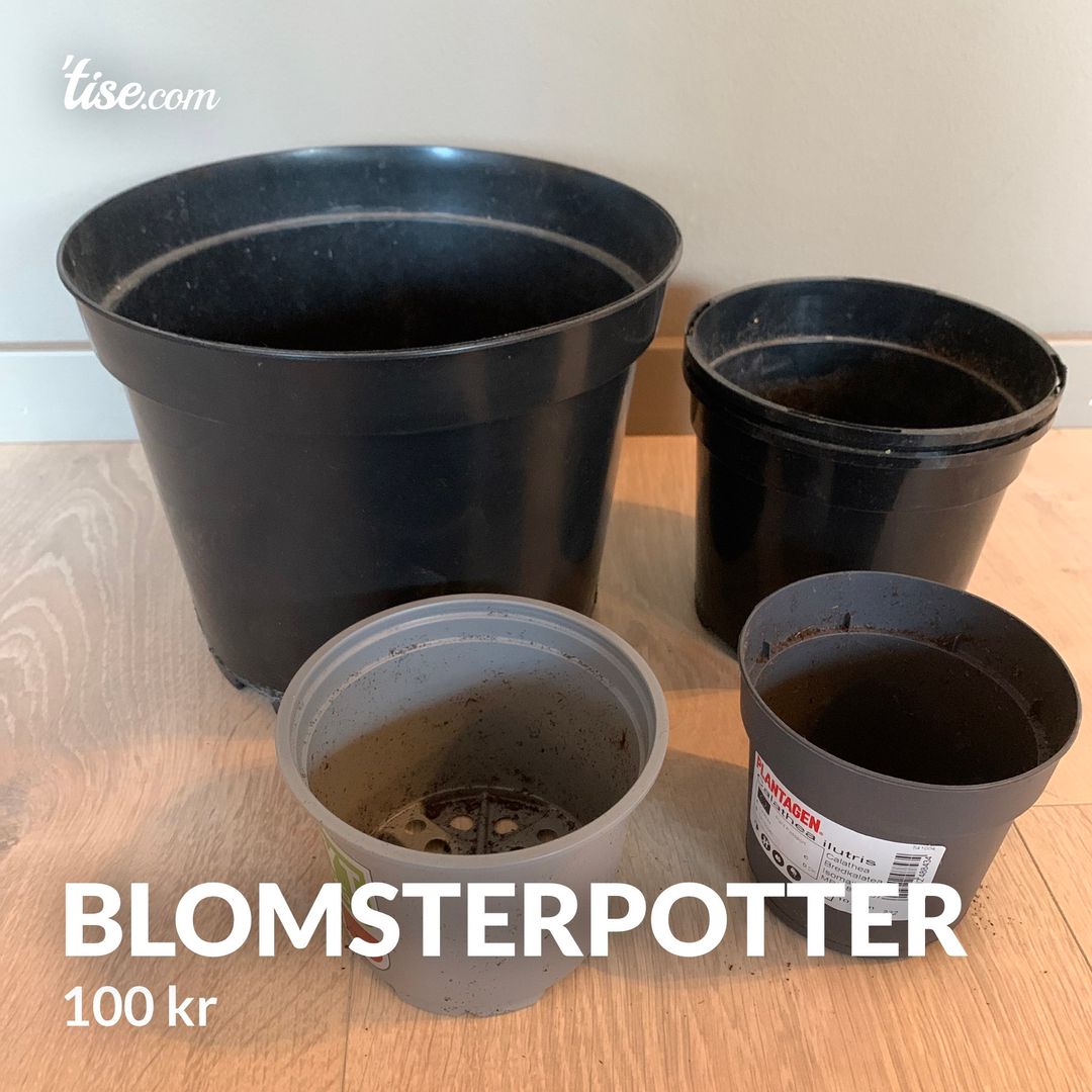 Blomsterpotter