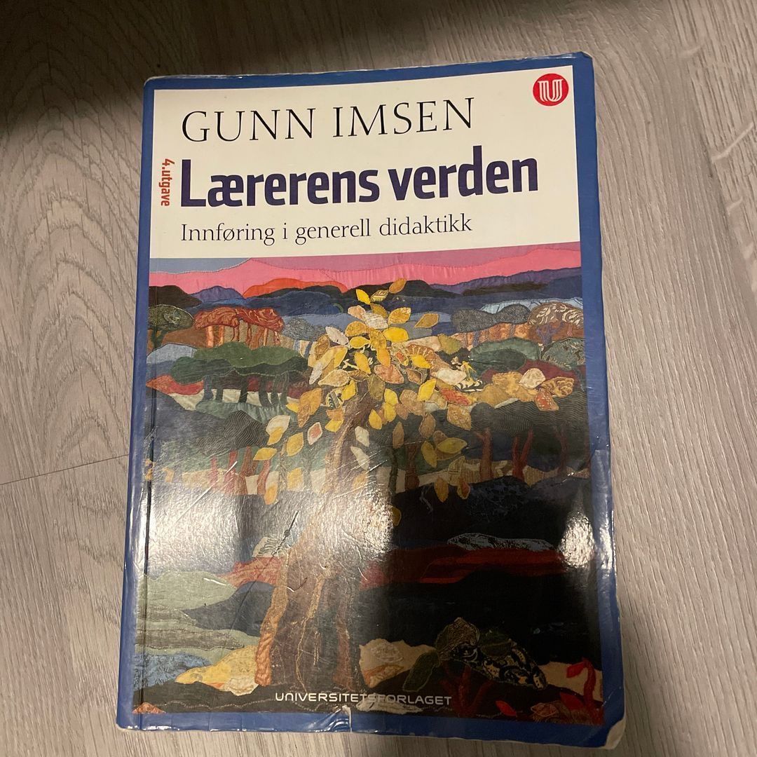 Lærerens verden