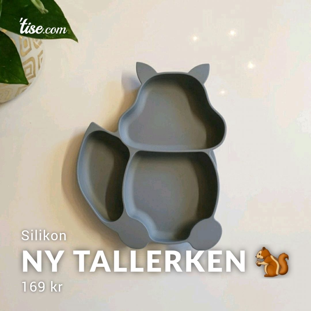 Ny tallerken 🐿