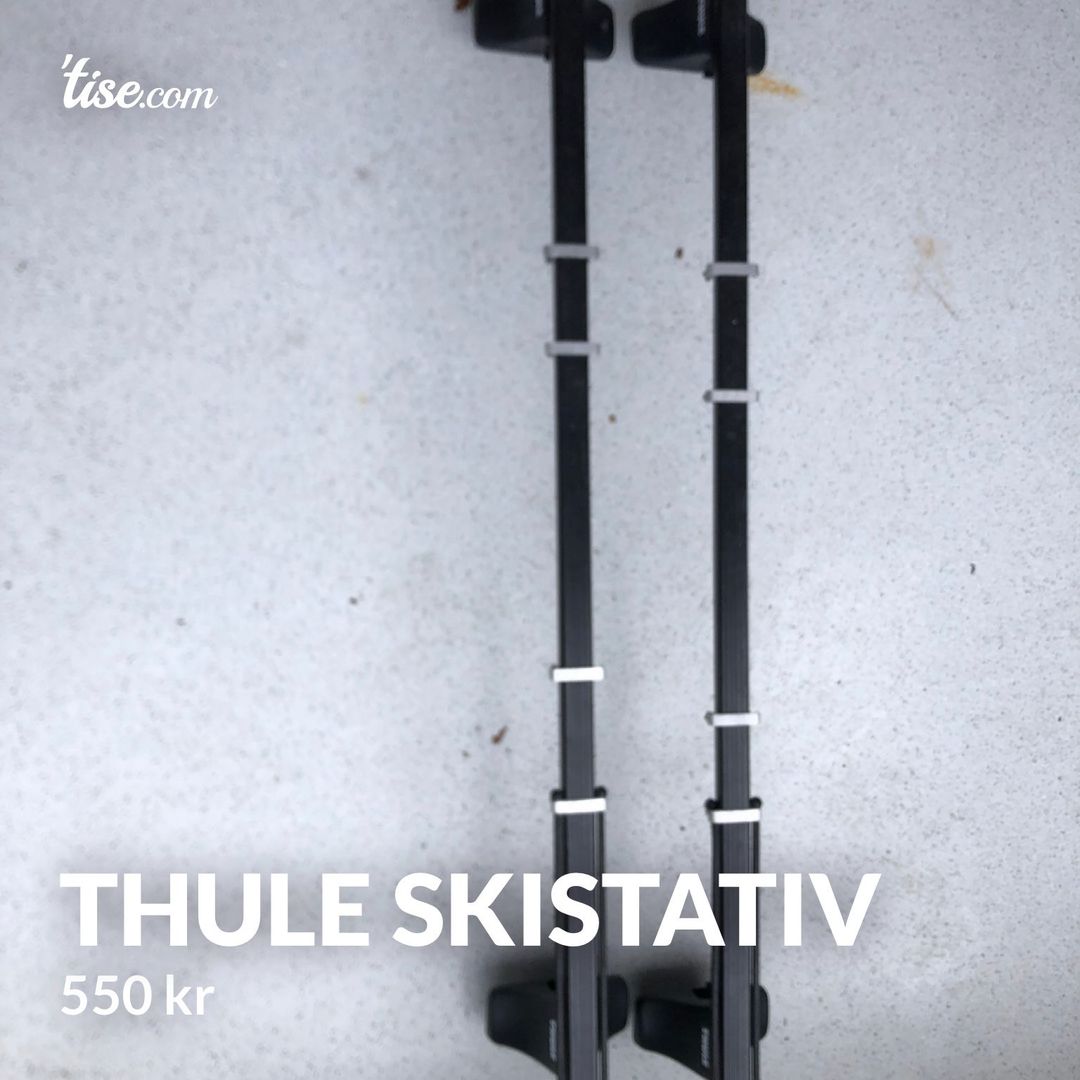 Thule skistativ