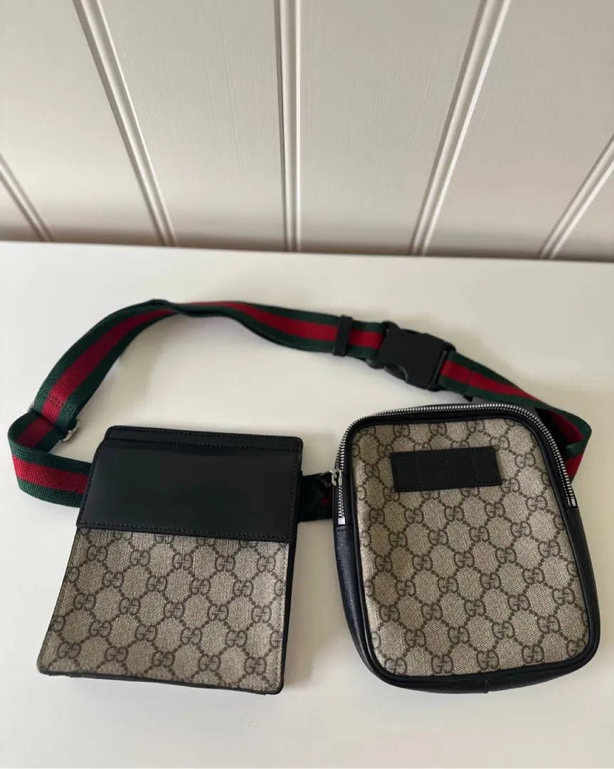 Gucci bag