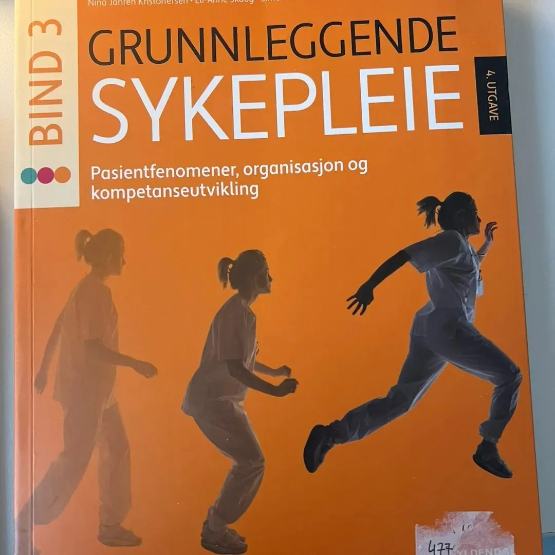 Grunnlegende sykepl