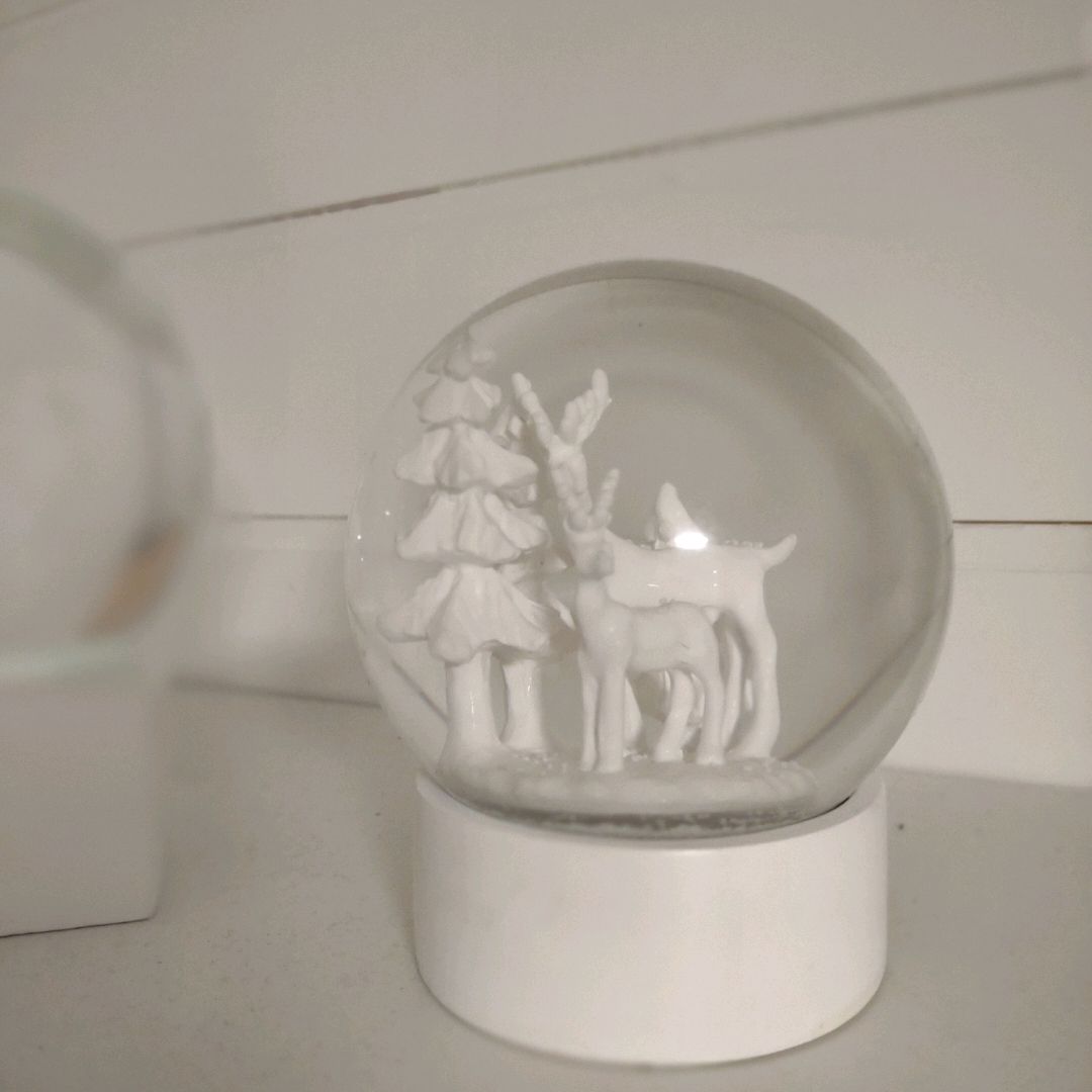 2  Store Snow Globes