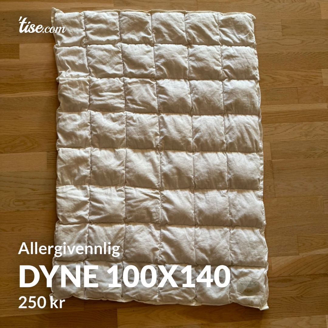 Dyne 100x140