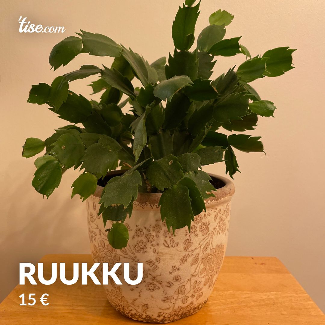 ruukku