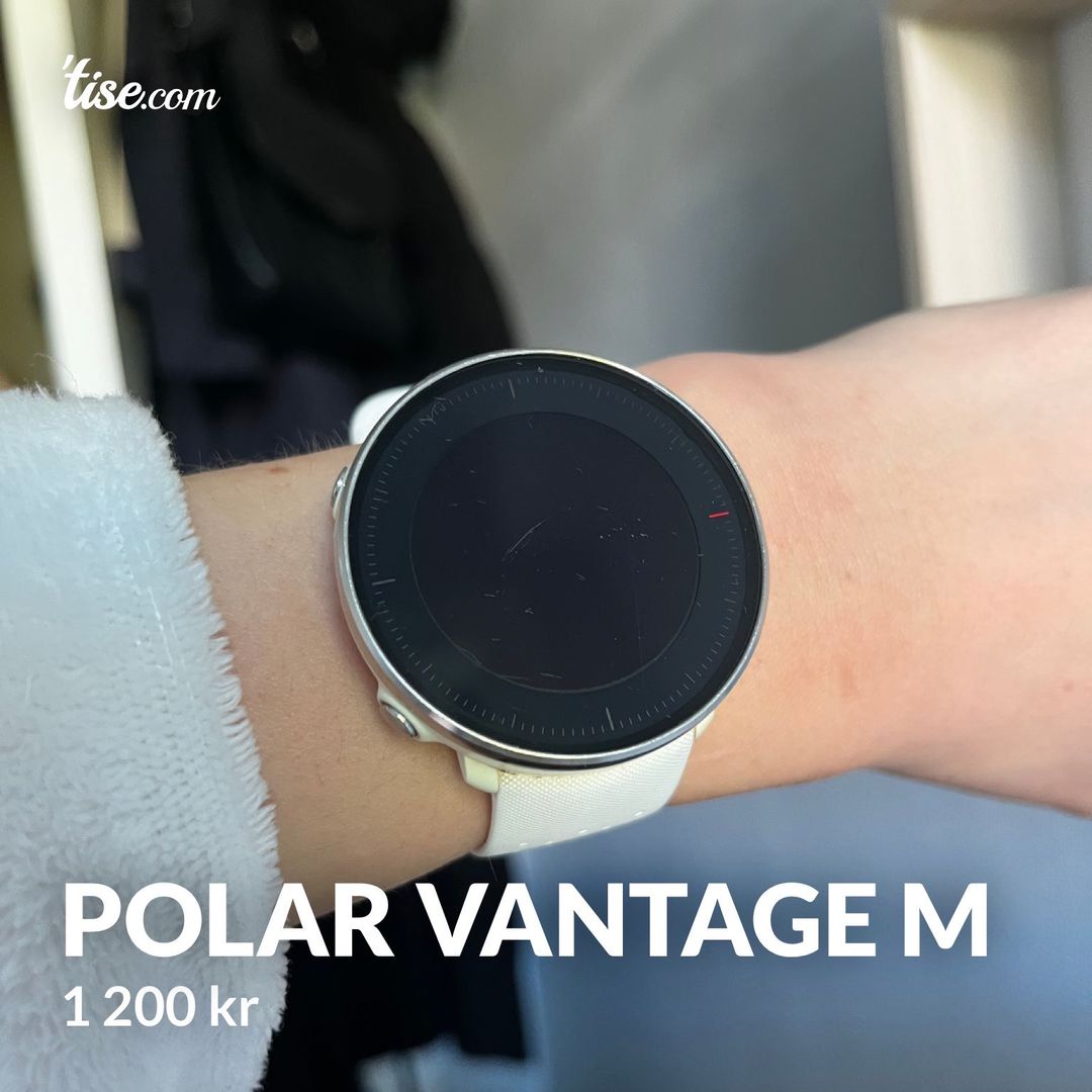 Polar Vantage M