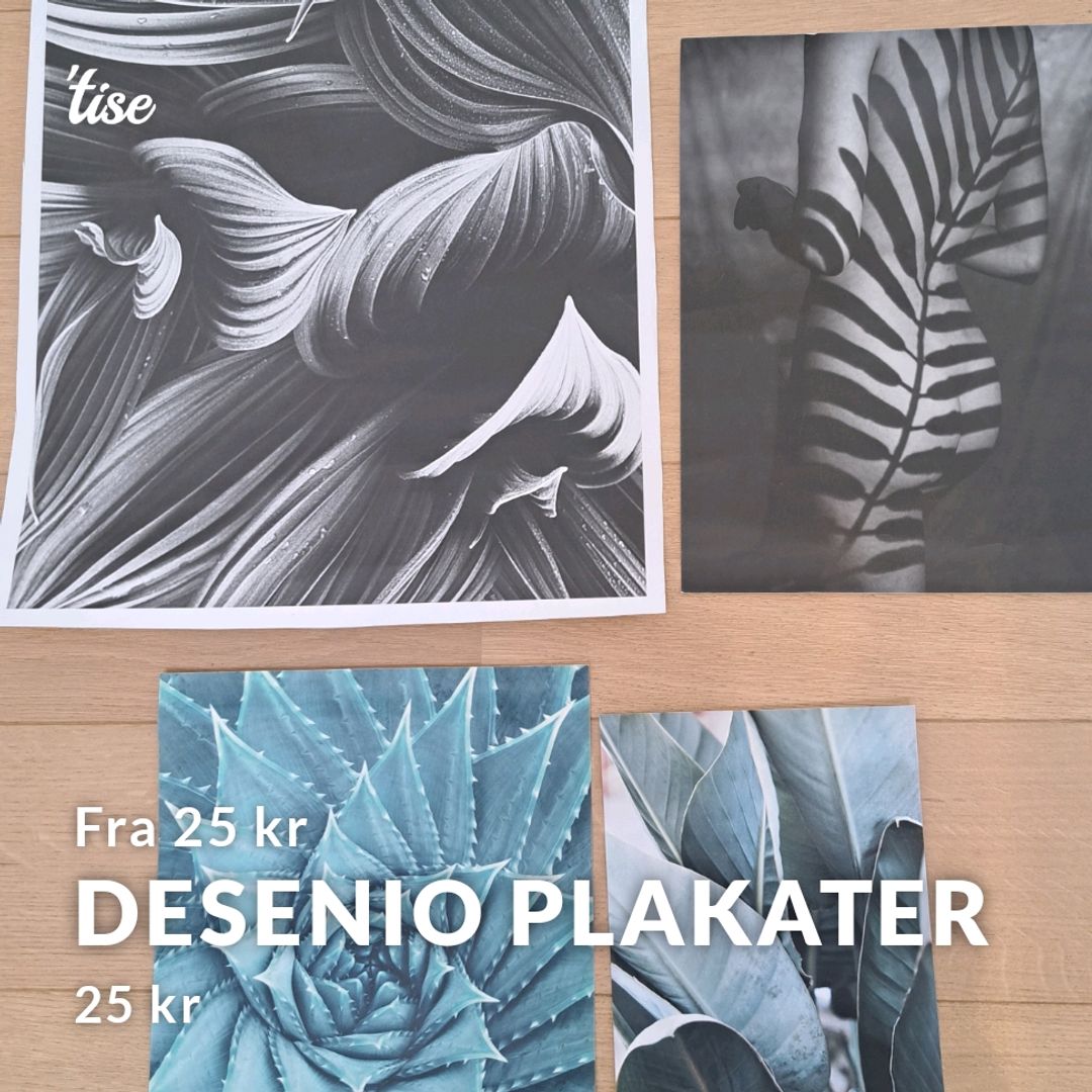 Desenio Plakater