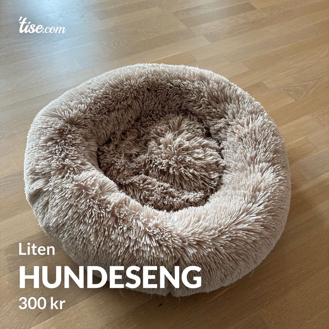 Hundeseng