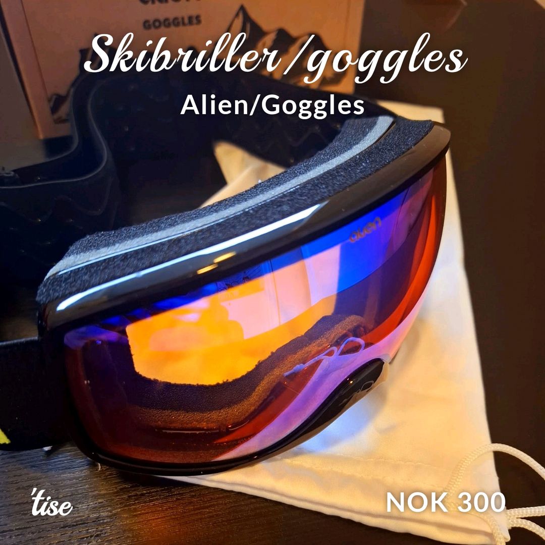 Skibriller/goggles