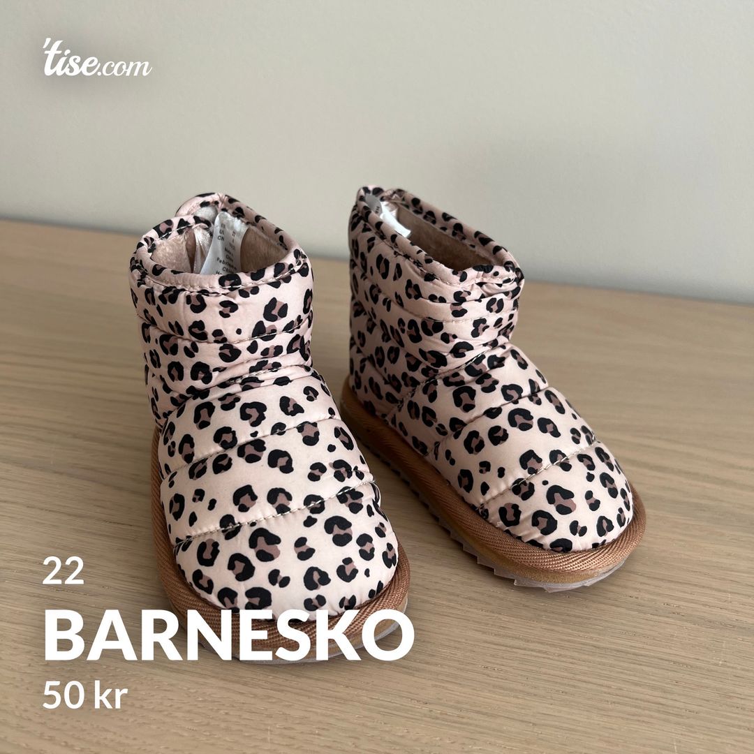 Barnesko