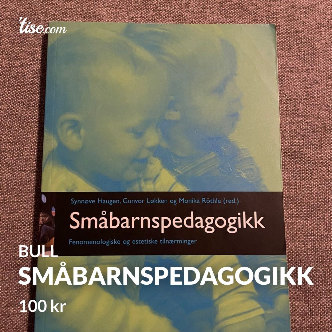 Småbarnspedagogikk