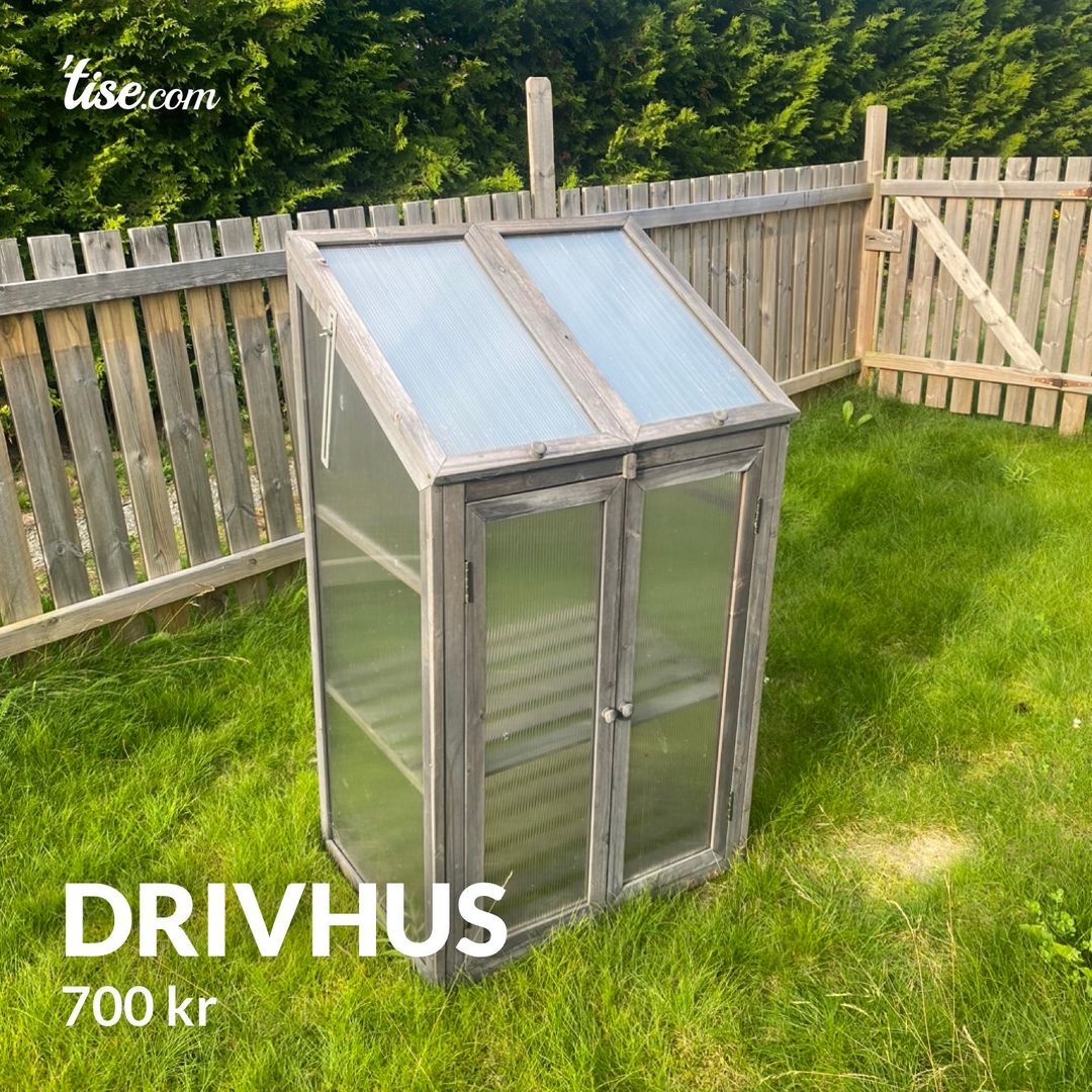 Drivhus