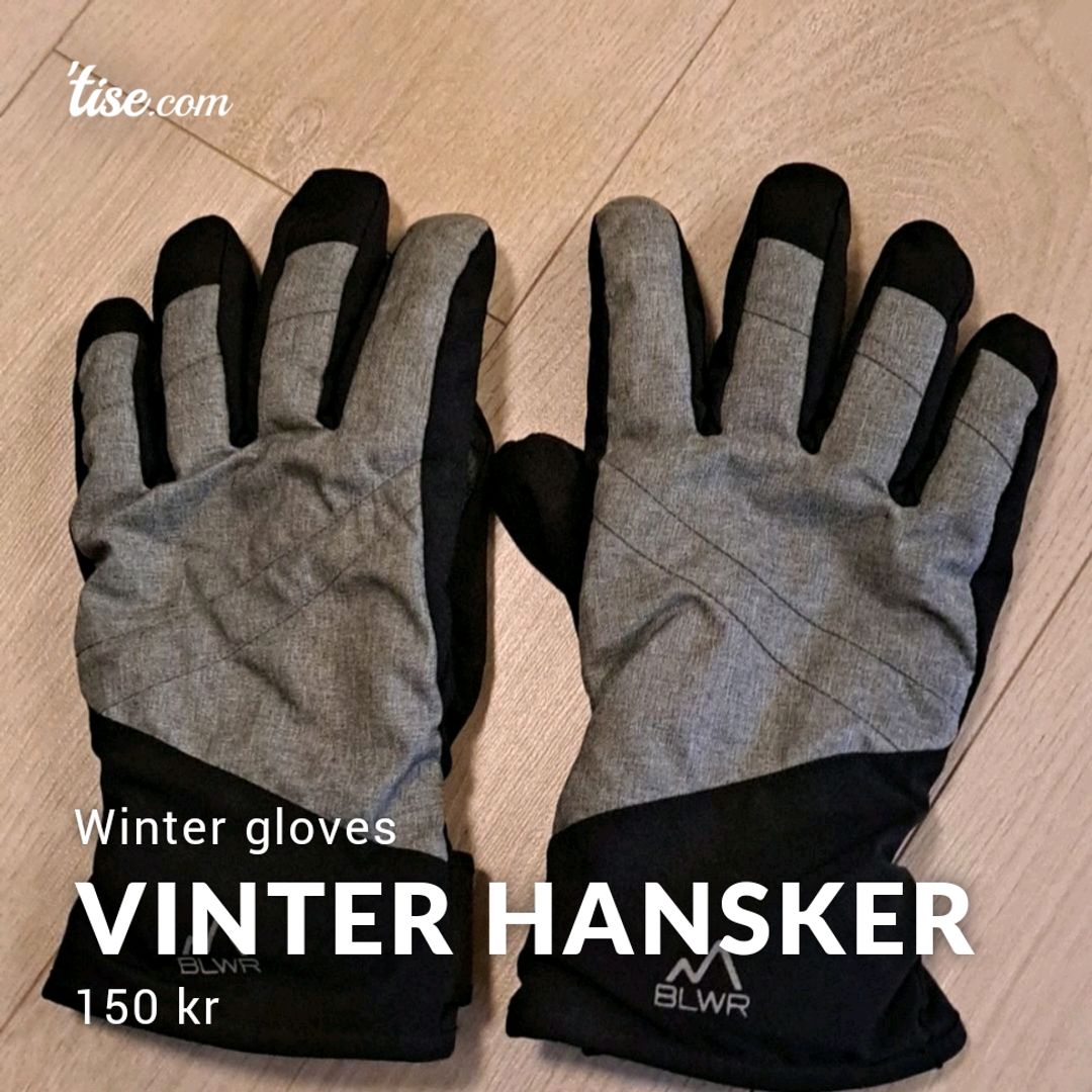 Vinter Hansker