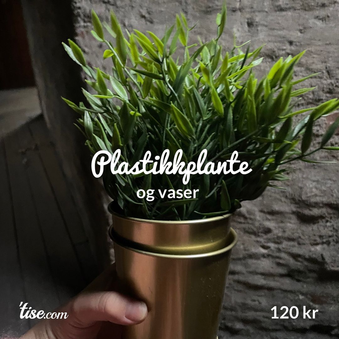 Plastikkplante