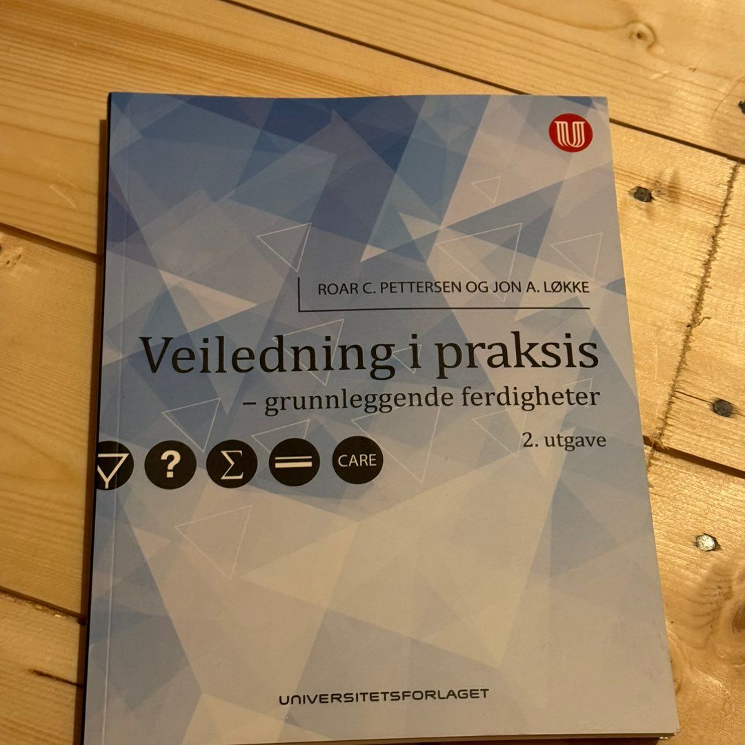 Veiledning i praksis