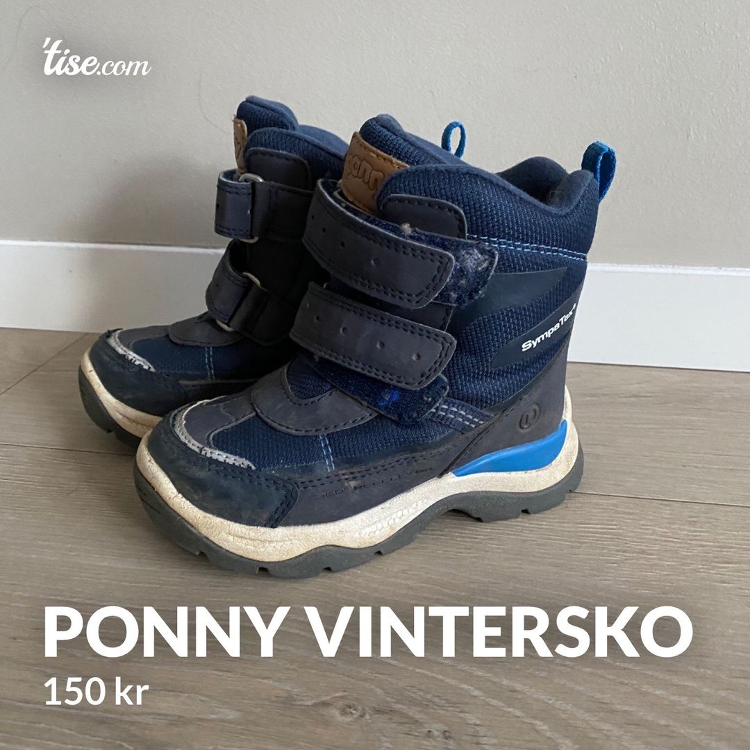 Ponny vintersko