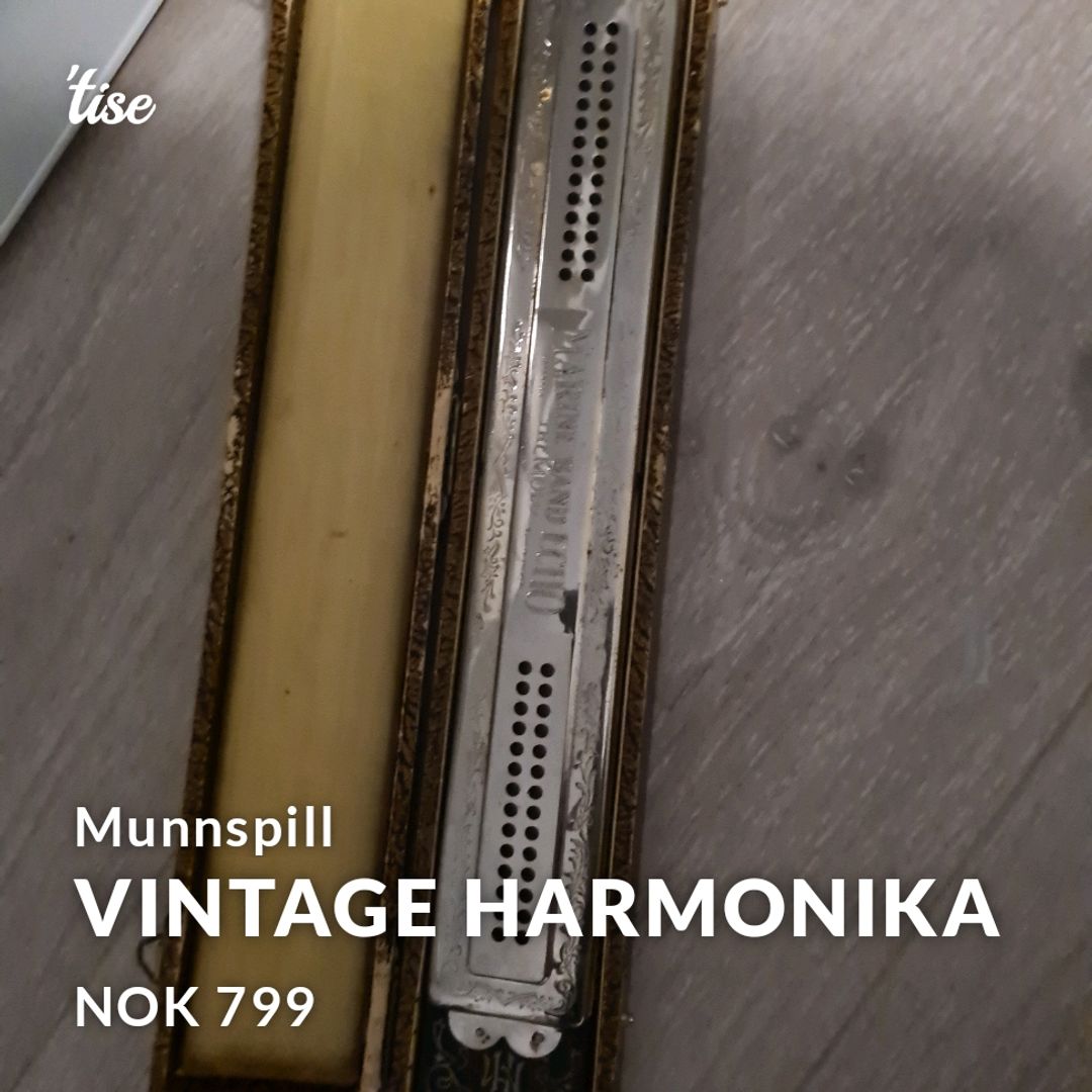 Vintage Harmonika