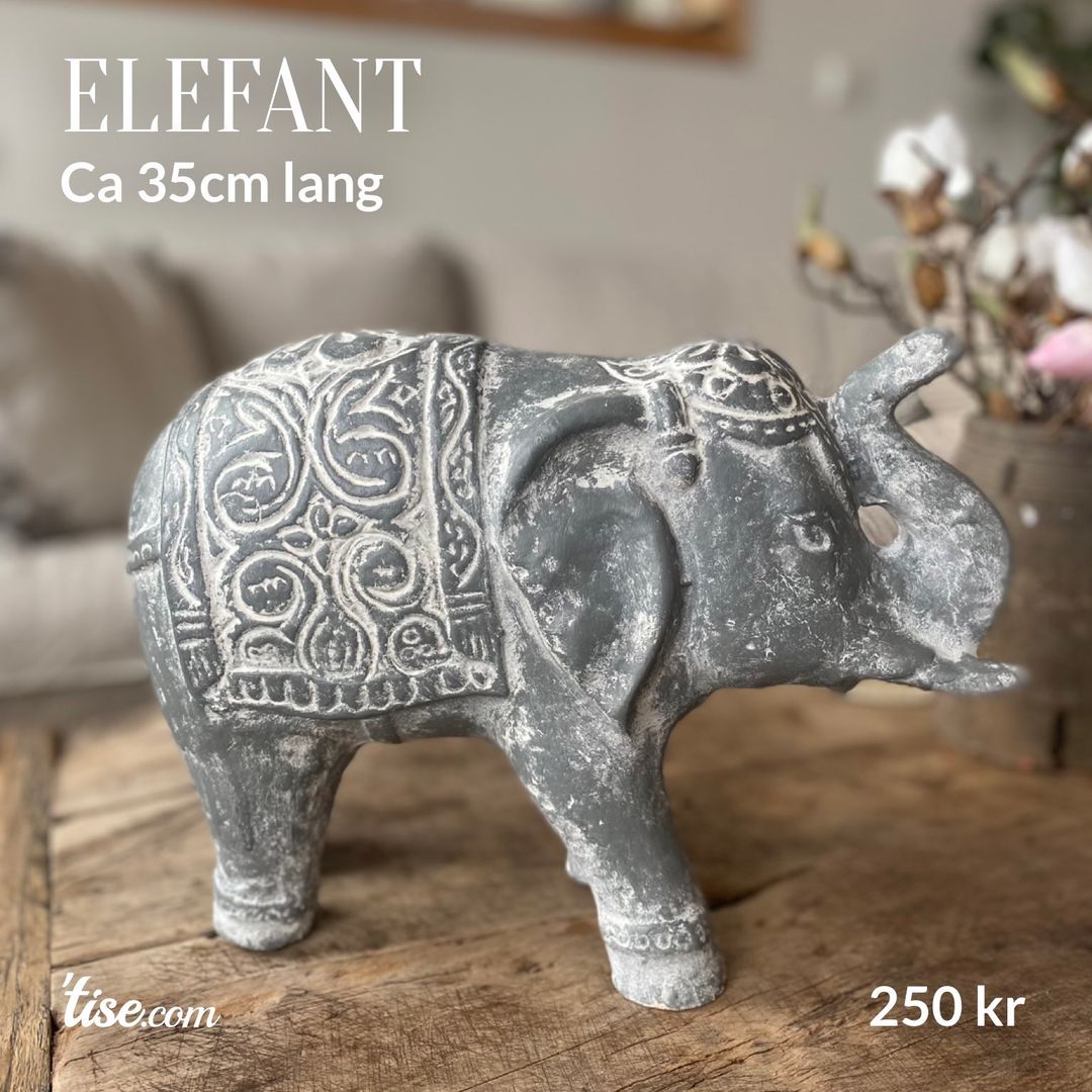 Elefant