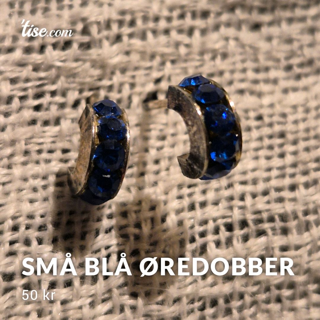 Små Blå Øredobber