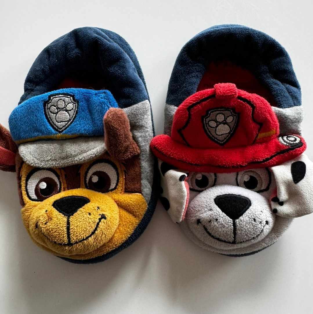 Paw patrol