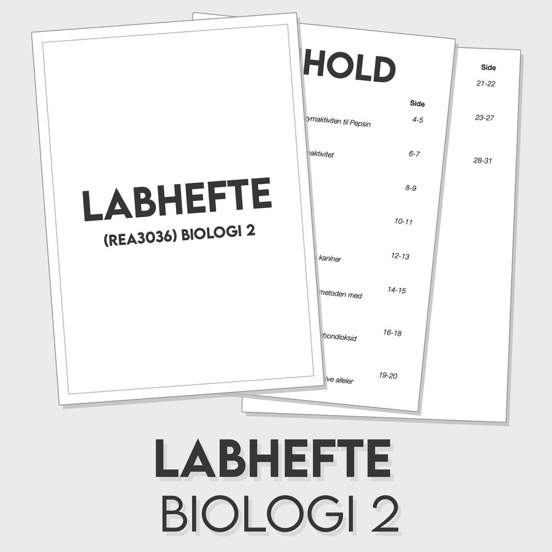 REA3036 Labhefte