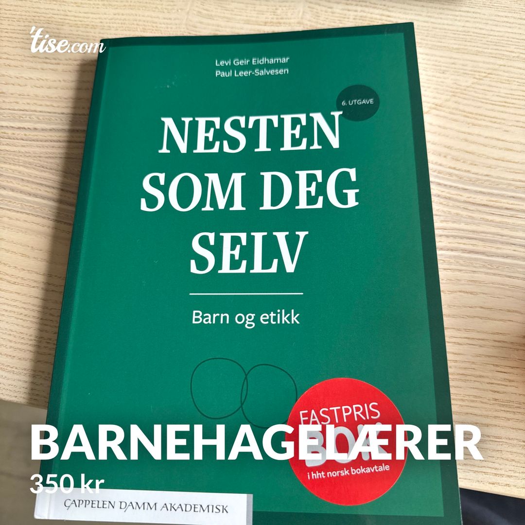 Barnehagelærer