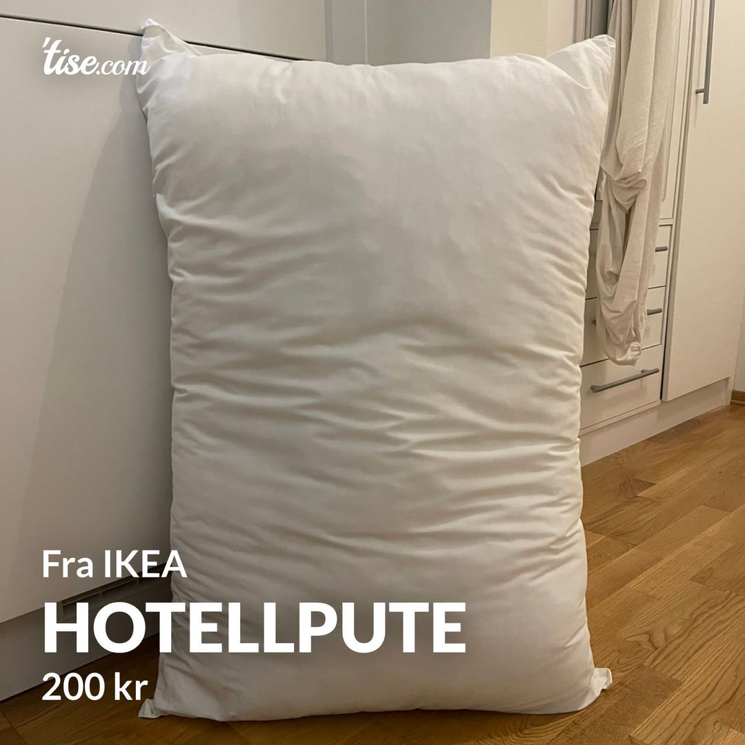 Hotellpute