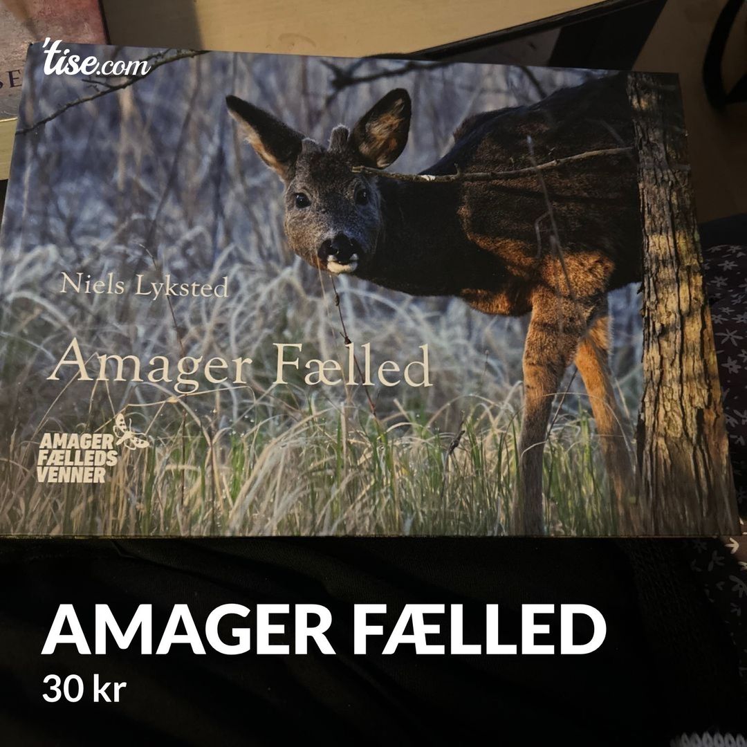 Amager fælled