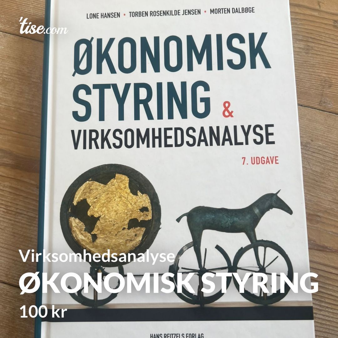 Økonomisk styring