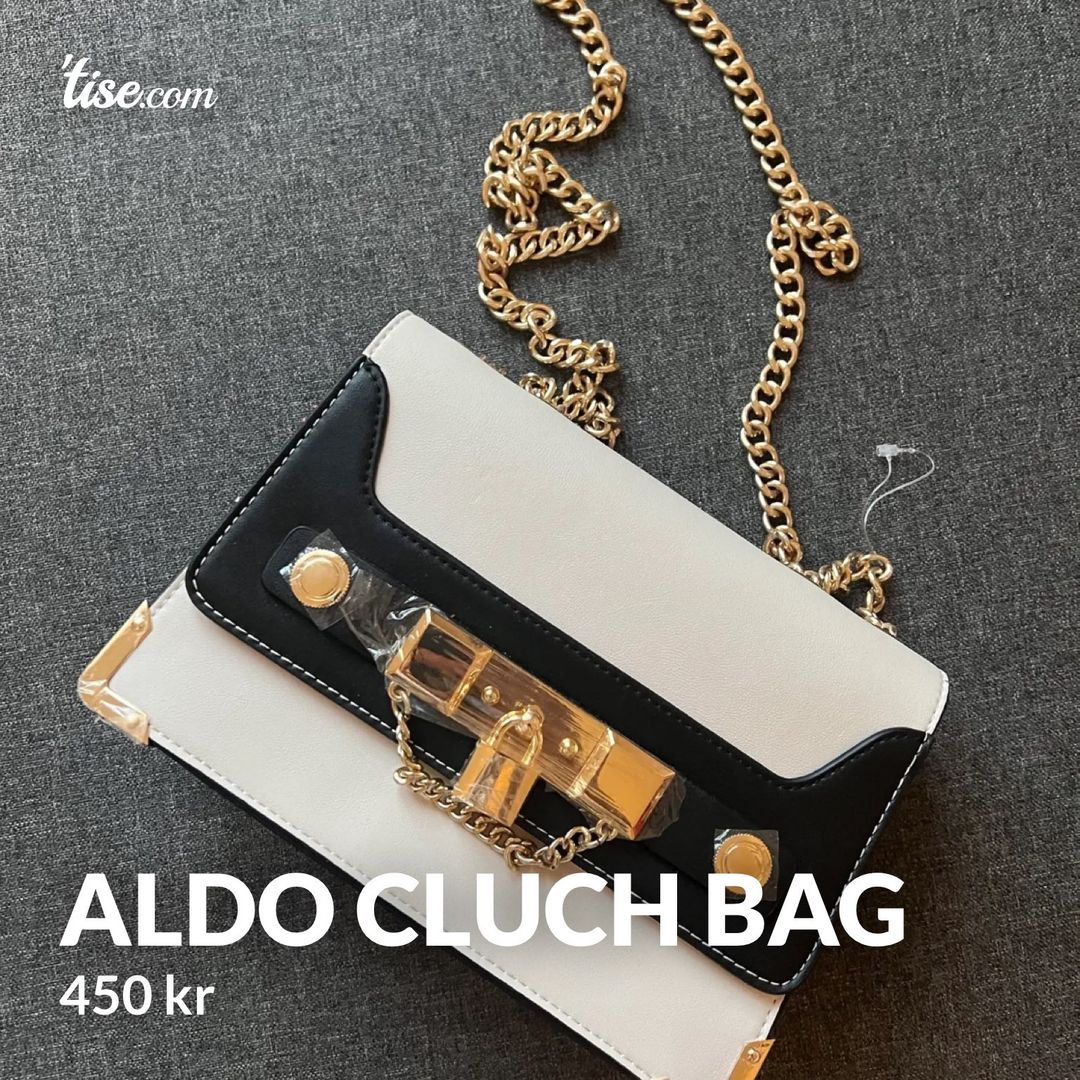 Aldo cluch bag