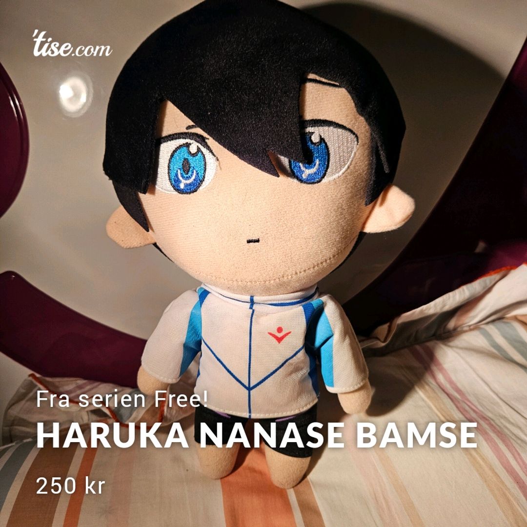 Haruka Nanase Bamse