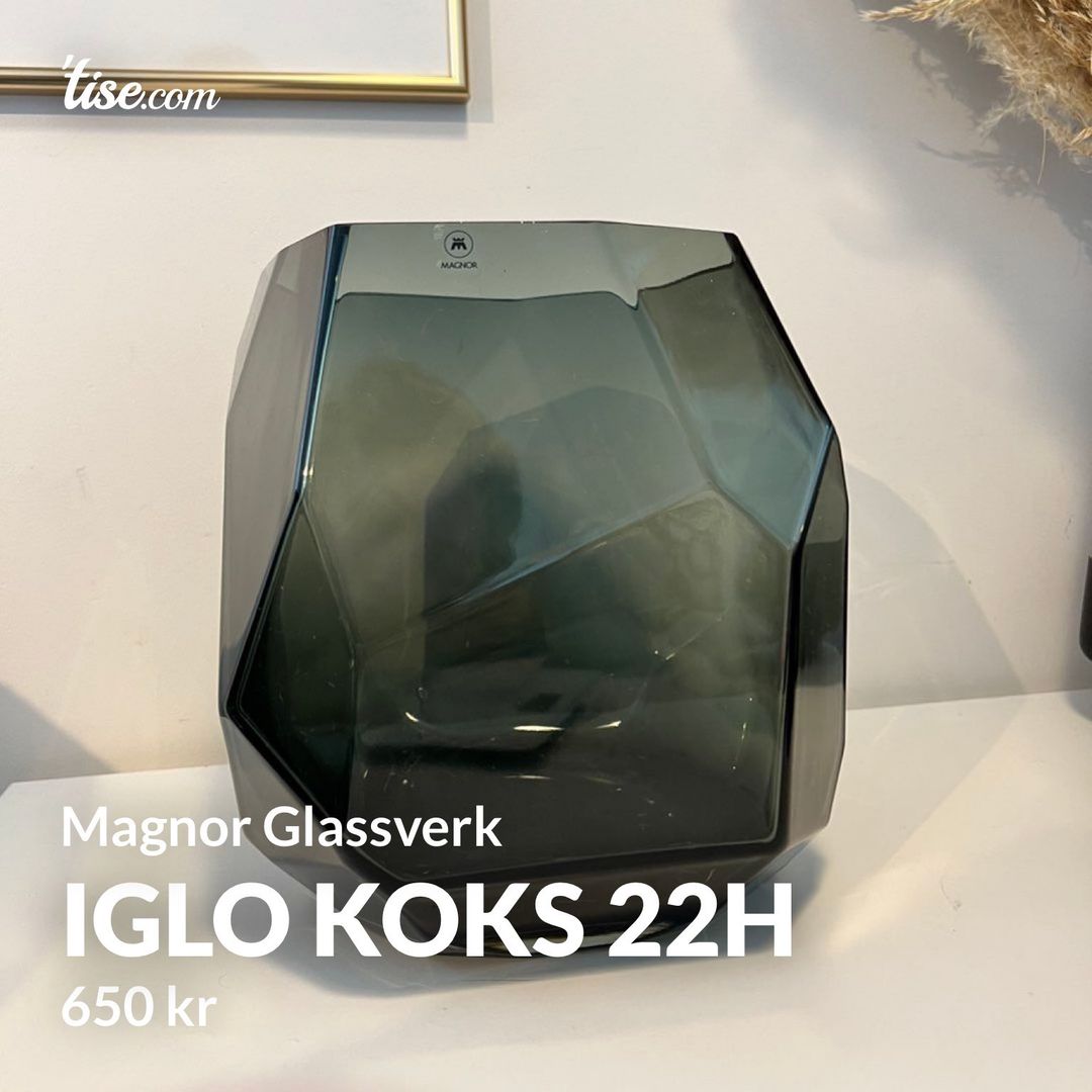 Iglo koks 22H