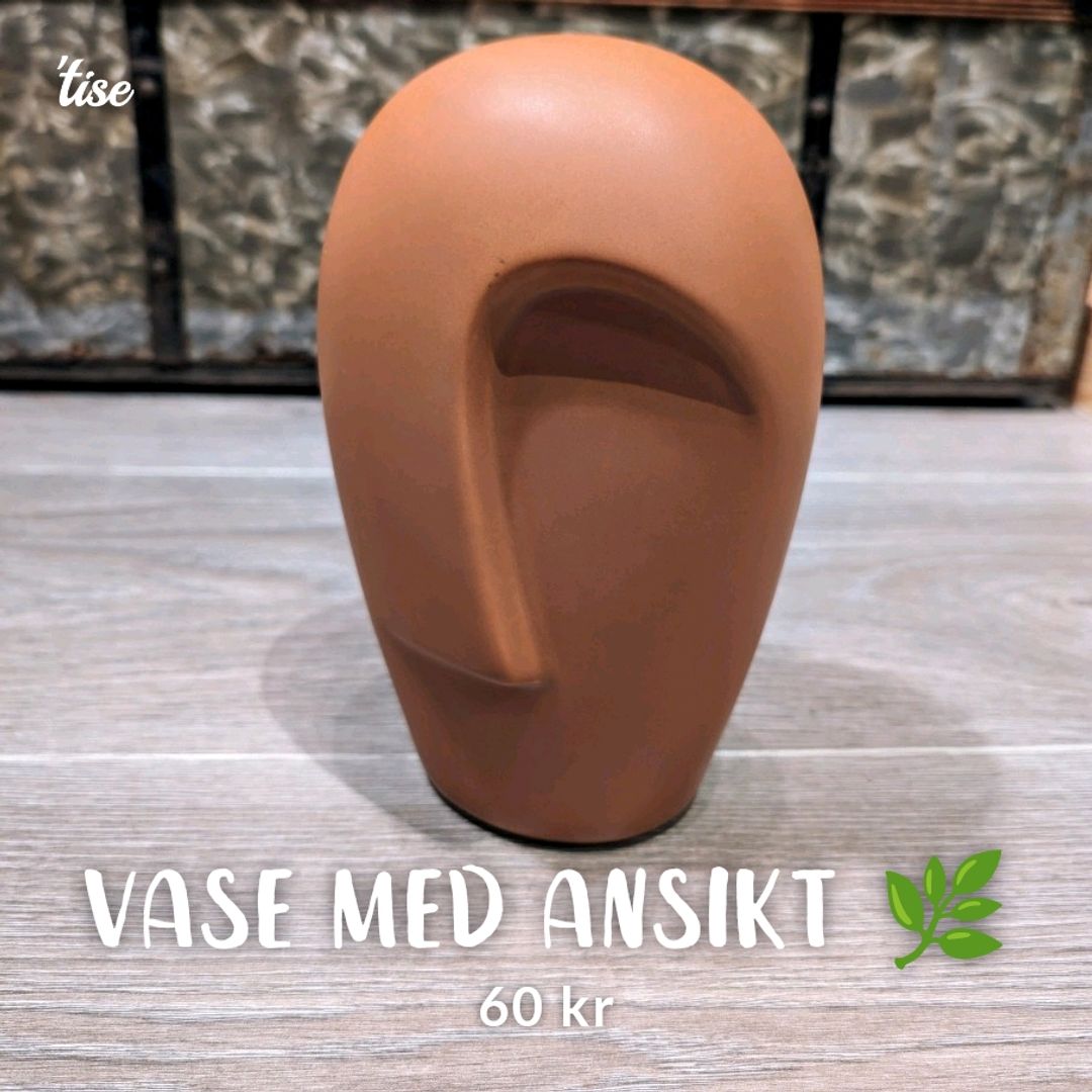 Vase med ansikt 🌿