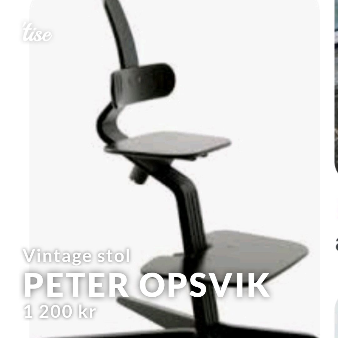 Peter Opsvik