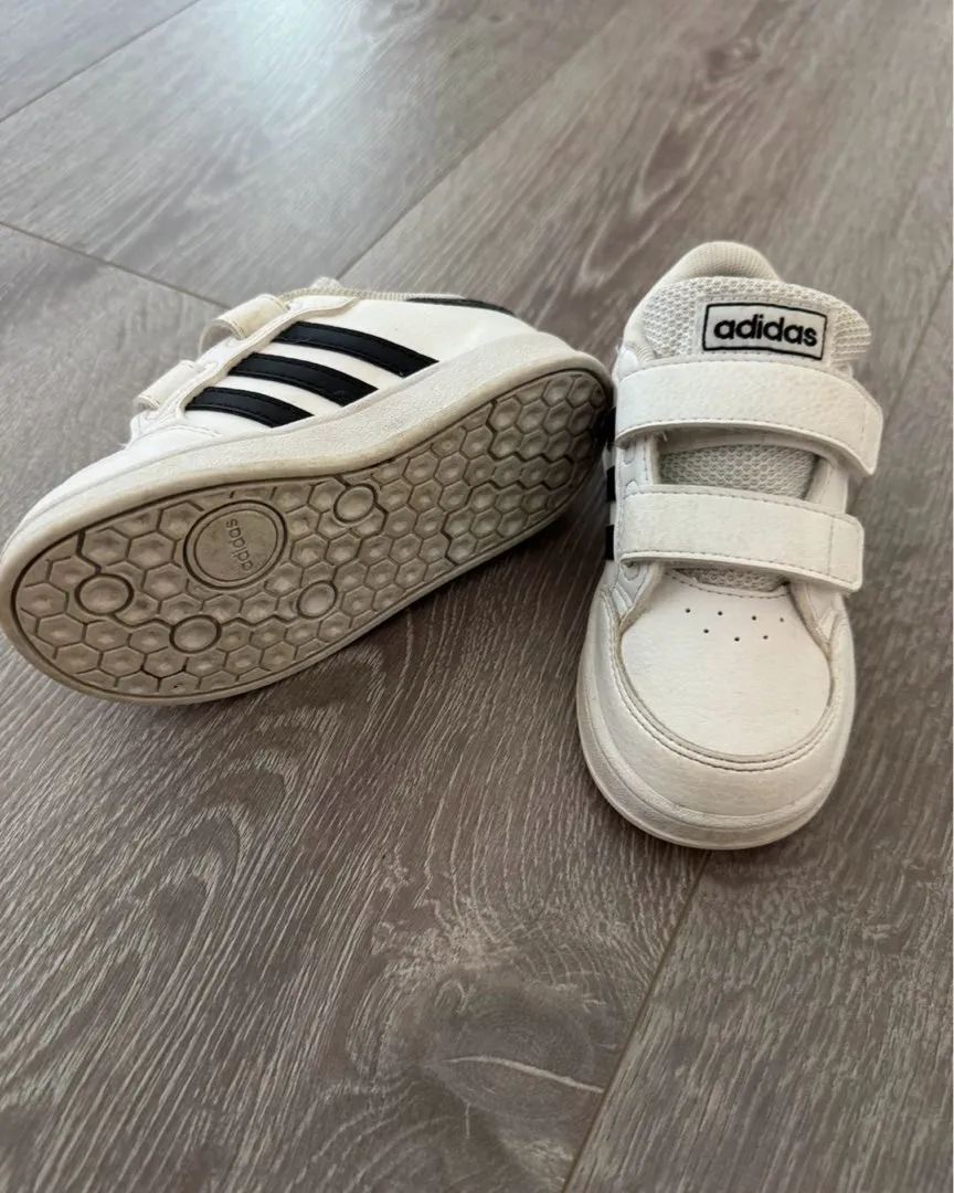 Adidas superstar