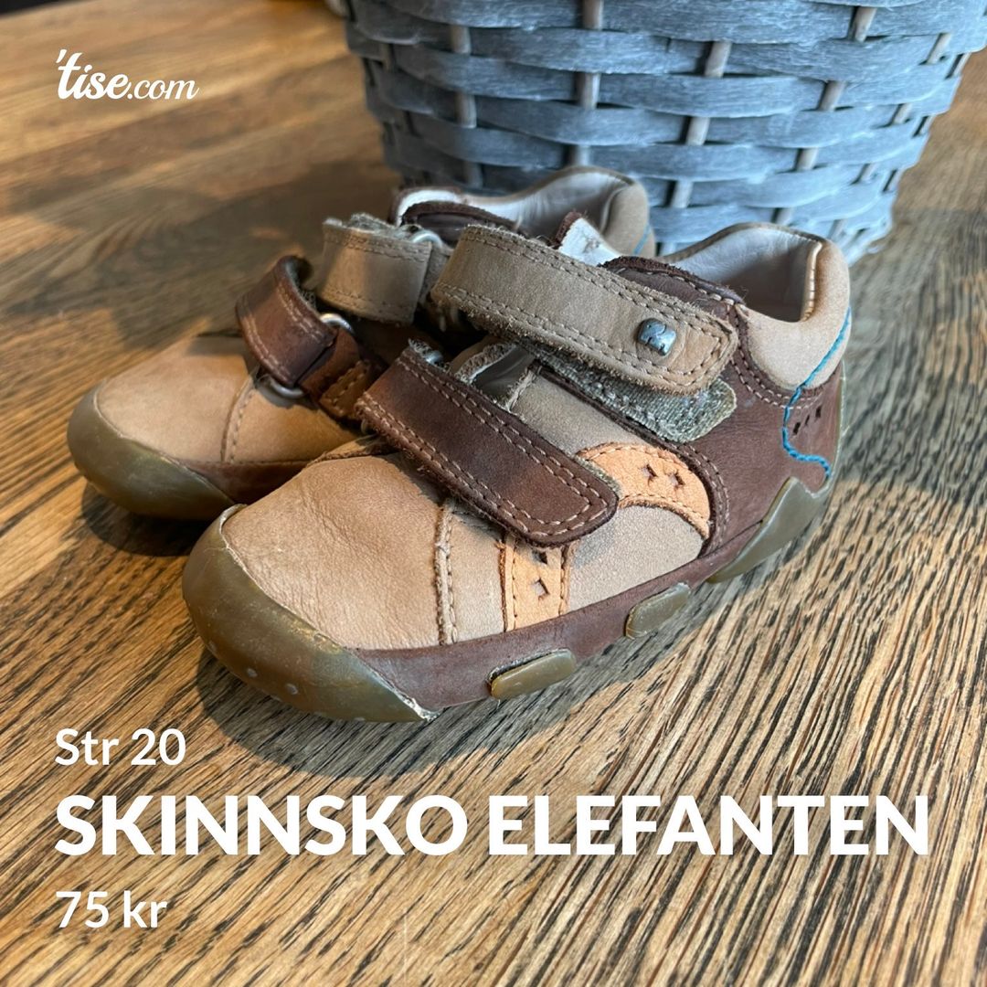 Skinnsko Elefanten