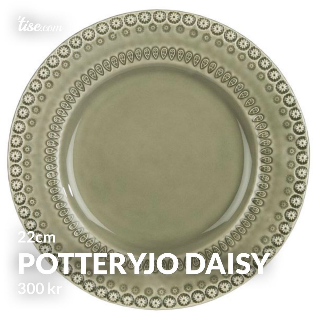 PotteryJo Daisy