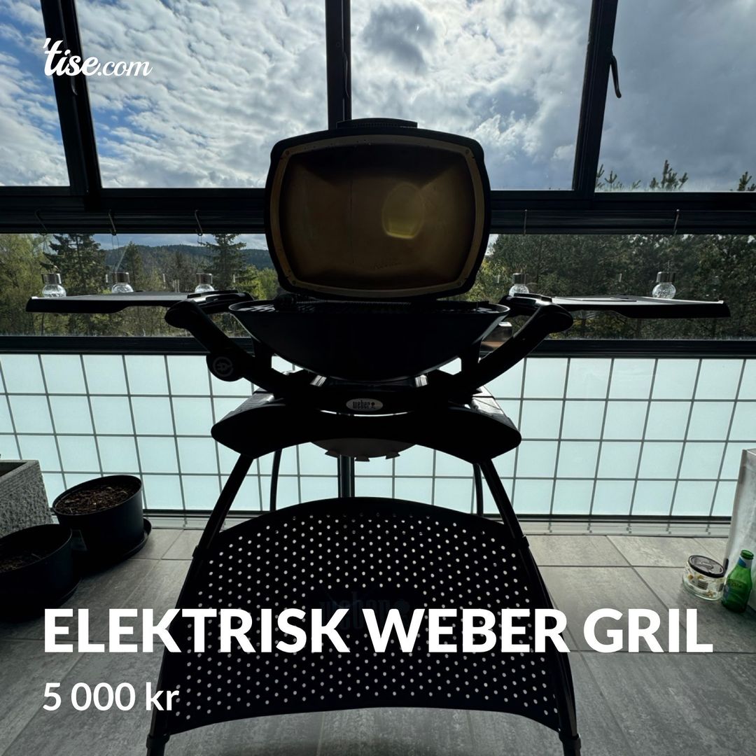 Elektrisk WEBER Gril