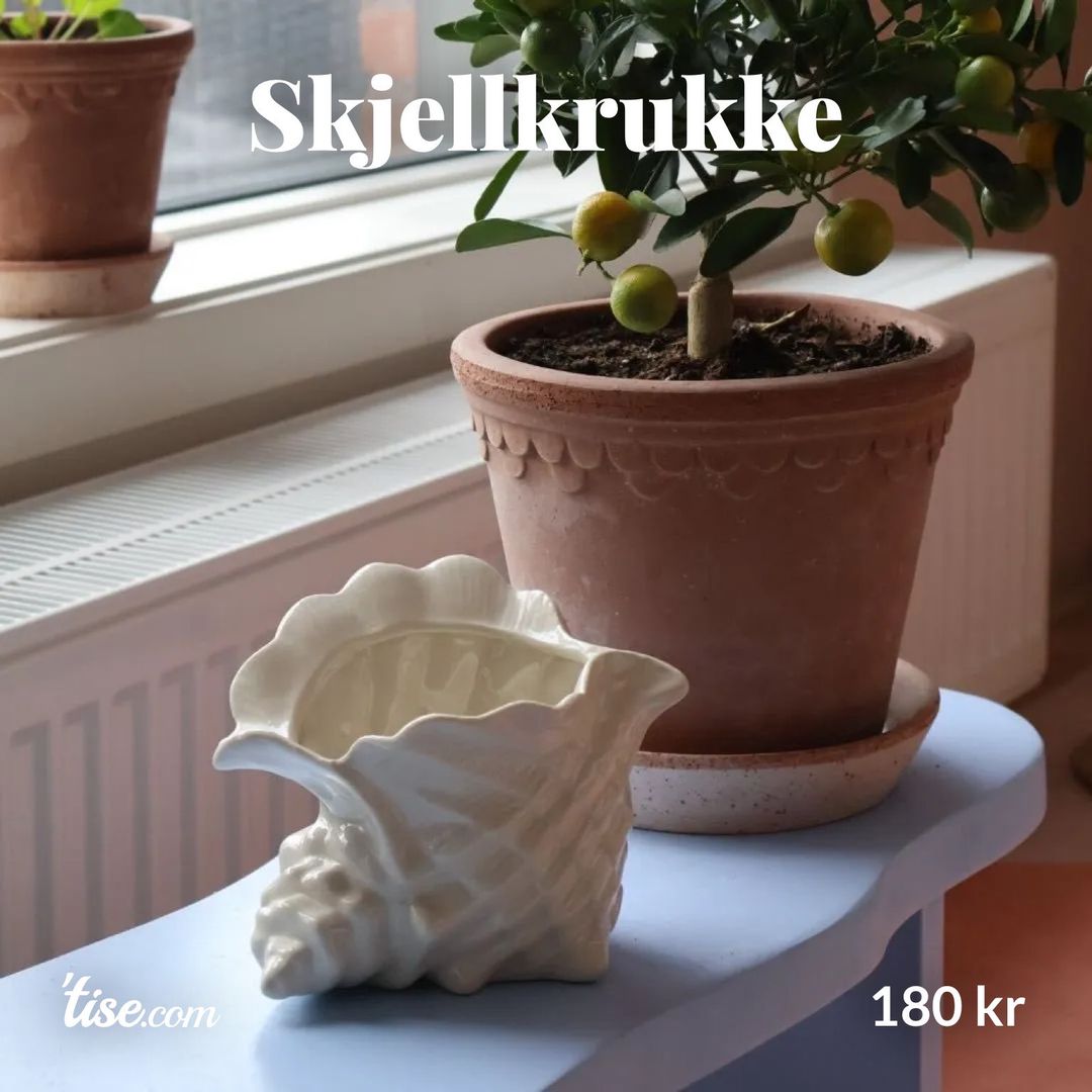 Skjellkrukke