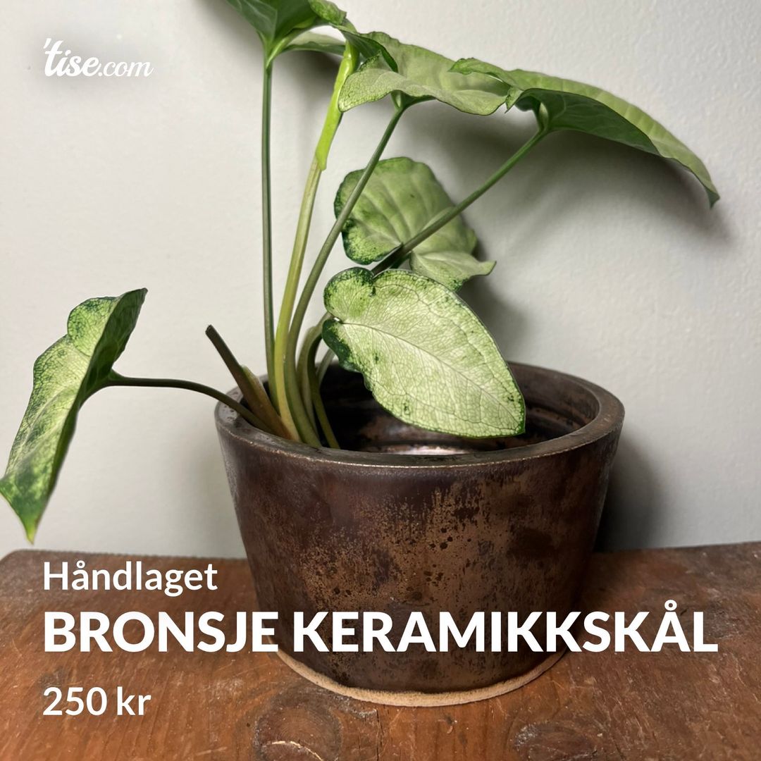 Bronsje keramikkskål