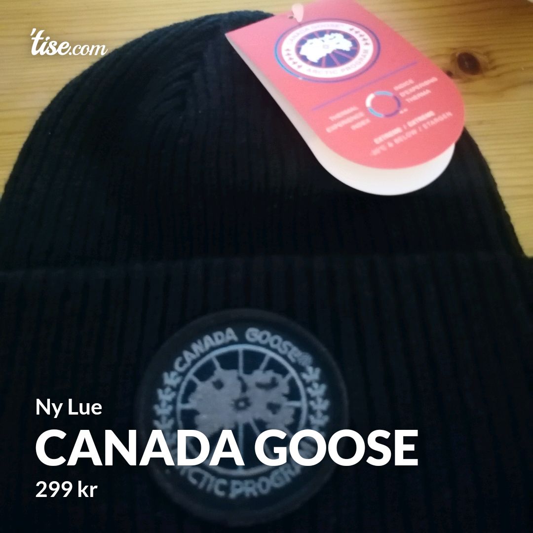 Canada Goose