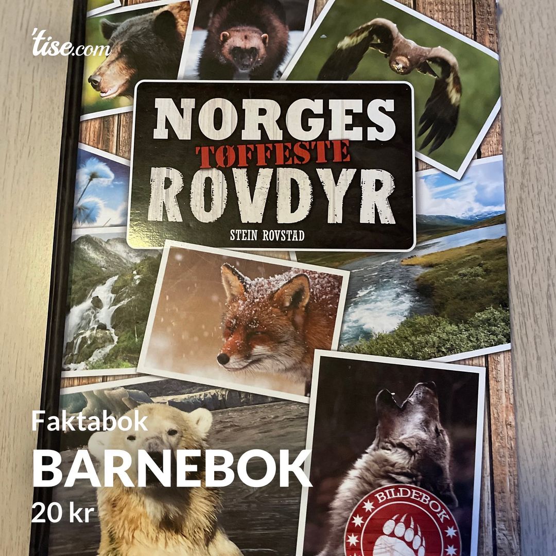 Barnebok