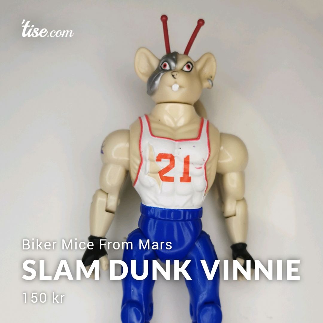 Slam Dunk Vinnie